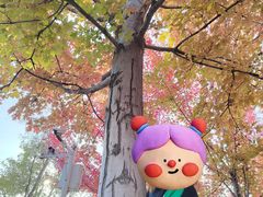 -辽宁大学(崇山校区)