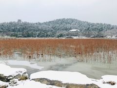 -东湖生态旅游风景区