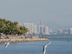 -深圳湾公园(南山区)