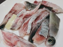-港升鱼师傅·中山脆肉鲩