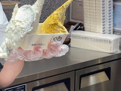 -野人先生Gelato(上海长宁龙之梦店)