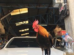 -瓦洛洛传统市场