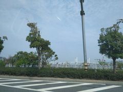 -澳门环岛游湾仔码头