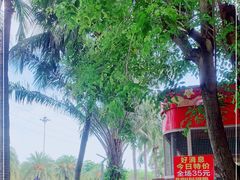 -万绿园