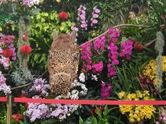 -国家植物园南园