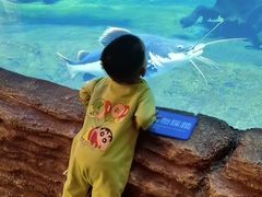 -华夏文旅海洋公园