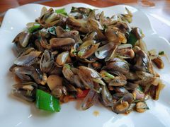 金不换炒薄壳-红树林顺御楼(石楼店)