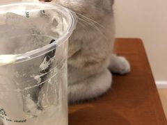 -1点点(望京SOHO店)