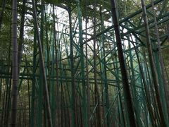 -陶祖圣境风景区