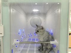 -爱洗澡的猫(天河路店)