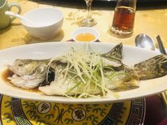 清蒸野生小江鲈-十八棵（老龙井）御茶园(老龙井店)