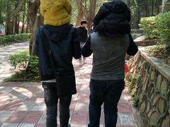 -广东茂名森林公园