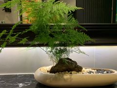 -润园四季椰子鸡火锅(海上世界店)
