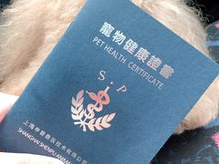 -申普宠物医院·眼科·心内科·影像科(普陀分院)