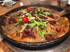 -老板恋上鱼(印象城店)