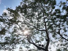 -荔湾博物馆