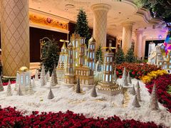 -拉斯维加斯永利酒店