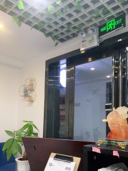 -凡碧诗毛孔收细