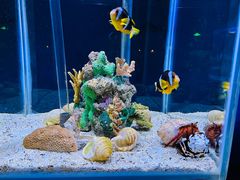 -太平洋海底世界