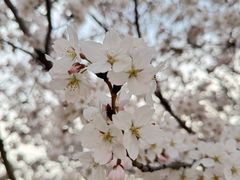 -山东大学(兴隆山校区)