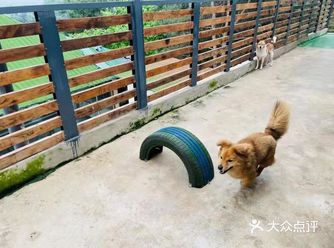 「Moore木耳宠物园」 发现宝藏，惊喜到忍不住发文