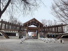 -野鸭湖国家湿地公园