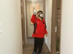 -浙大冰虫甲醛检测治理(闵行店)