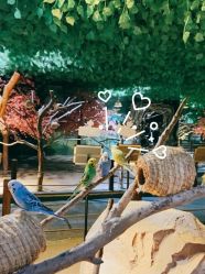 -酷嗒动物文化乐园(cutezoo西溪乐天城店)