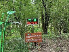 -同里国家湿地公园