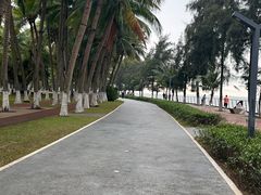 -万绿园