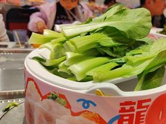 -龍歌自助小火锅(芝罘万达店)