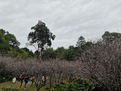 -广州市白云山风景名胜区
