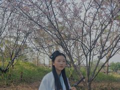 -王借岗森林公园