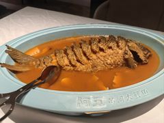 -阿五黄河大鲤鱼(英协路店)