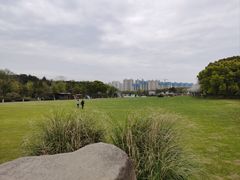 -昆山城市生态森林公园