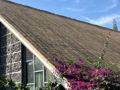 -老房子金沙元年川菜食府·花园餐厅(金沙店)