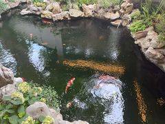 -鲤院·新中式美学·庭院餐厅(夫子庙店)
