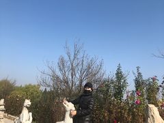 -白洋淀景区