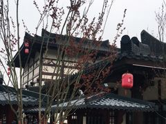 -大唐贡茶院