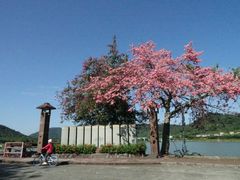 景点-风云岭森林公园