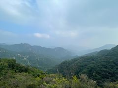 -大岭沟猕猴桃谷风景区