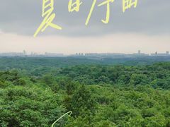 -老山国家森林公园