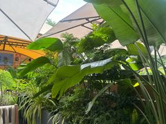 -gaga(深圳南山益田假日广场店)