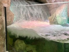 -沈阳海洋探索中心