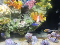 -锦艺城海洋馆