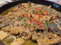 -老板恋上鱼(恒隆广场店)