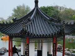 -莲湖公园