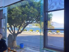 -野菌皇海景野生菌火锅(滨海大道店)