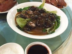 冬菇蚝油生菜-金苑海鲜酒家(新港中路店)