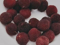 -棕榈岛海鲜自助餐厅(虹桥迎宾馆店)